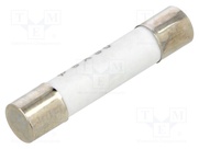 MS30X/FUSE-10A