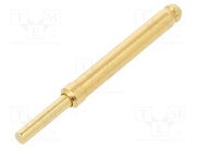 TK36N.10.1,80.S.170.A