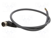 934636535 RKWU 19-242/1 M