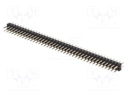 DS1025-05-2X40P8BV1-B