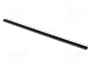DS1002-01-1*50S13