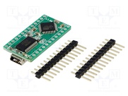 MINI-AT BOARD - 3.3V