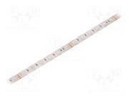 HH-SRGB60F110W24-5050 WHITE PCB IP65A