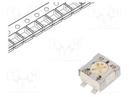 TS53YL203MR10