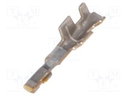DF19-2830SCFA