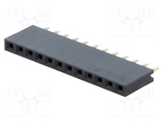 DS1023-1*12S21
