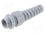 HT-K PG11 RAL7001