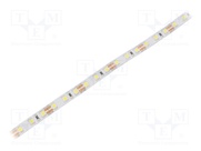 HH-S96F008-2835-12 CW WHITE PCB IP20