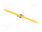 S008480ZC1LZ (COLD WHITE IP20)