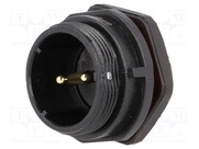 SP2112/P2