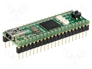 MINI-32 BOARD
