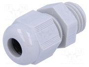 HT M12 RAL7035