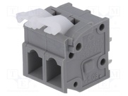 DG242V-5.08-02P-11-00AH