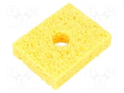 T0052241999