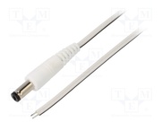 P55-TT-T035-050WH