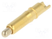 FK-691