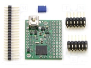 MINI MAESTRO 12-CHANNEL