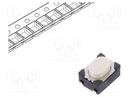 PTS810 SJK 250 SMTR LFS