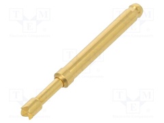 TK36N.02.2,50.S.170.A