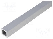 GN480.1-V10-300-AL-OS