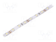 HH-S60F008-3528-12 CW WHITE PCB IP20