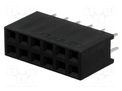 DS1023-2*6S21