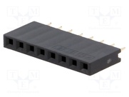 DS1023-1*8S21