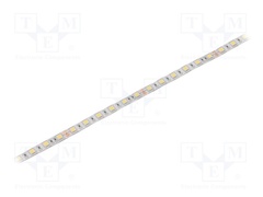 S010060CC1LZ (COLD WHITE IP64)