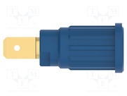 SEPB 6453 AU / BL
