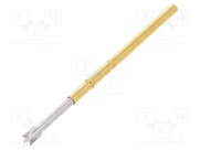 TK35N.03.2,00.S.170.R