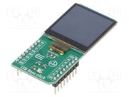 LCD MONO CLICK
