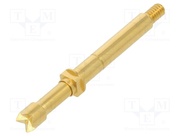 TK36SCR.02.3,00.S.300.A