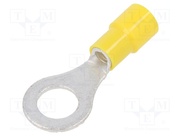 TMEX 5.5-8-YEL