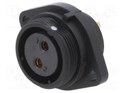 SP2113/S2