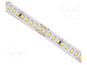S010180BC1LZ (WARM WHITE IP20)