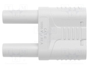 SKURZ 6100 / 19-4 IG 2MB NI / WS