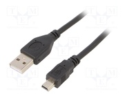 CCP-USB2-AM5P-6