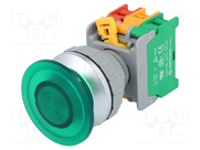 EBL30-1O/C G, W/O LAMP