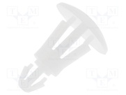 FIX-RCC-6.3