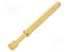 TK36N.07.3,00.S.170.A