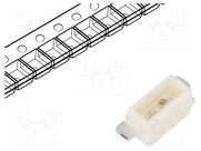 LS Y876-P2R1-1