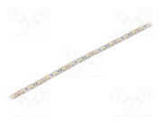 S010060CB1LZ (COLD WHITE IP64)